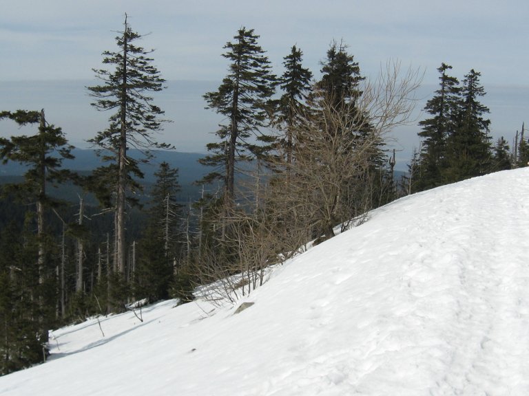 harz2009_6