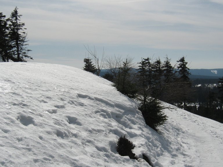 harz2009_7