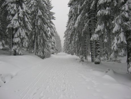 thharz2012_01